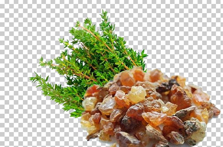 Myrrh Herb Food Resin Incense PNG, Clipart, Commiphora, Cuisine, Dish, Essential Oil, Food Free PNG Download