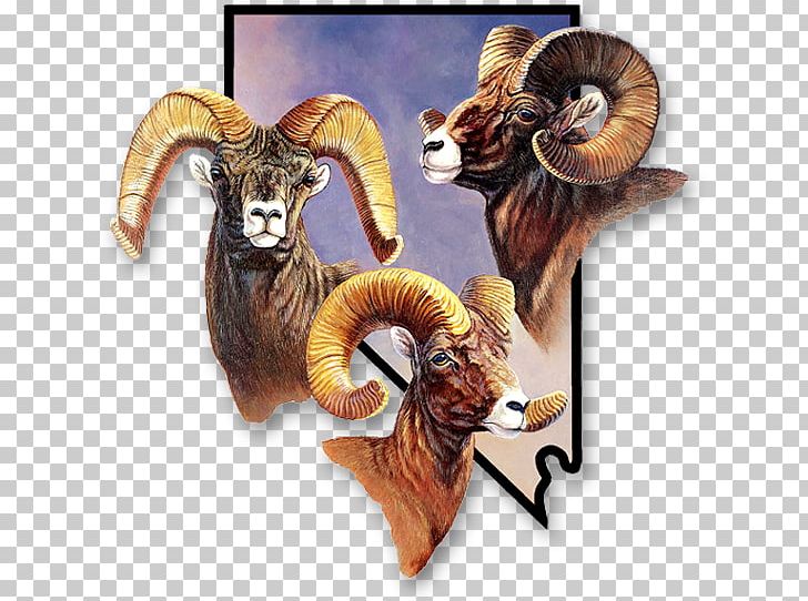 Sierra Nevada Bighorn Sheep Sierra Nevada Bighorn Sheep Argali Desert Bighorn Sheep PNG, Clipart, Argali, Biggame Hunting, Bighorn Sheep, Caprinae, Desert Bighorn Sheep Free PNG Download