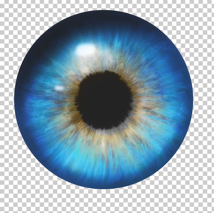 Human Eye PNG, Clipart, Blue, Circle, Closeup, Color, Computer Icons Free PNG Download