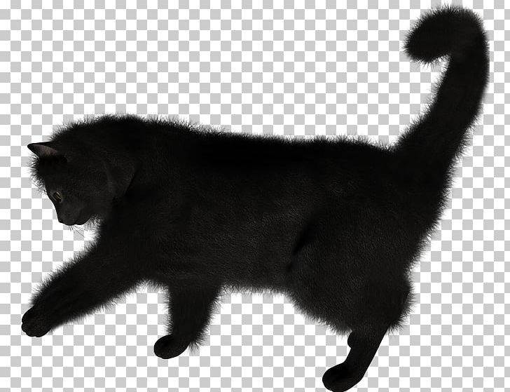 Kitten Nebelung Bombay Cat PNG, Clipart, Animals, Black, Black And White, Black Cat, Bombay Free PNG Download