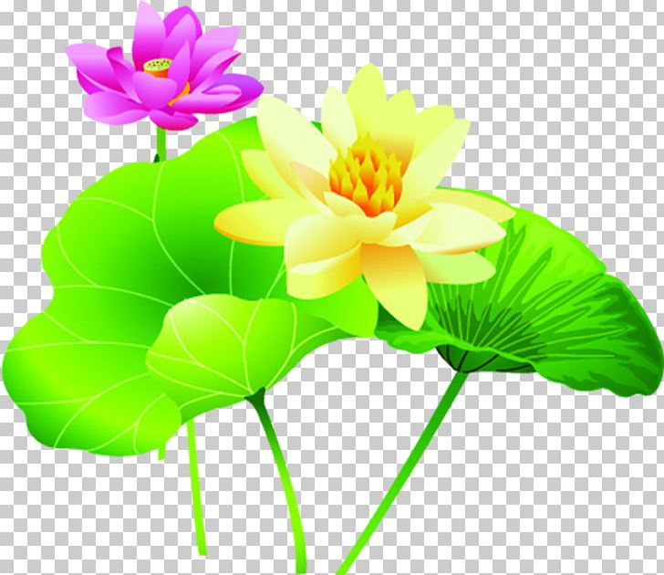 Poster Drawing PNG, Clipart, Advertising Design, Annual Plant, Aquatic Plant, Cartoon, Computer Wallpaper Free PNG Download