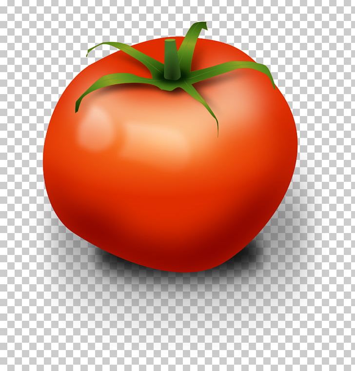 Cherry Tomato Fruit PNG, Clipart, Apple, Blog, Bush Tomato, Cherry Tomato, Computer Icons Free PNG Download