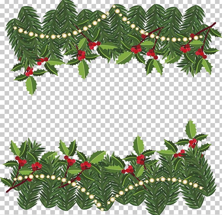 Christmas Tree Pine Leaf Christmas Ornament PNG, Clipart, Aquifoliaceae, Aquifoliales, Border Frame, Branch, Christmas Decoration Free PNG Download