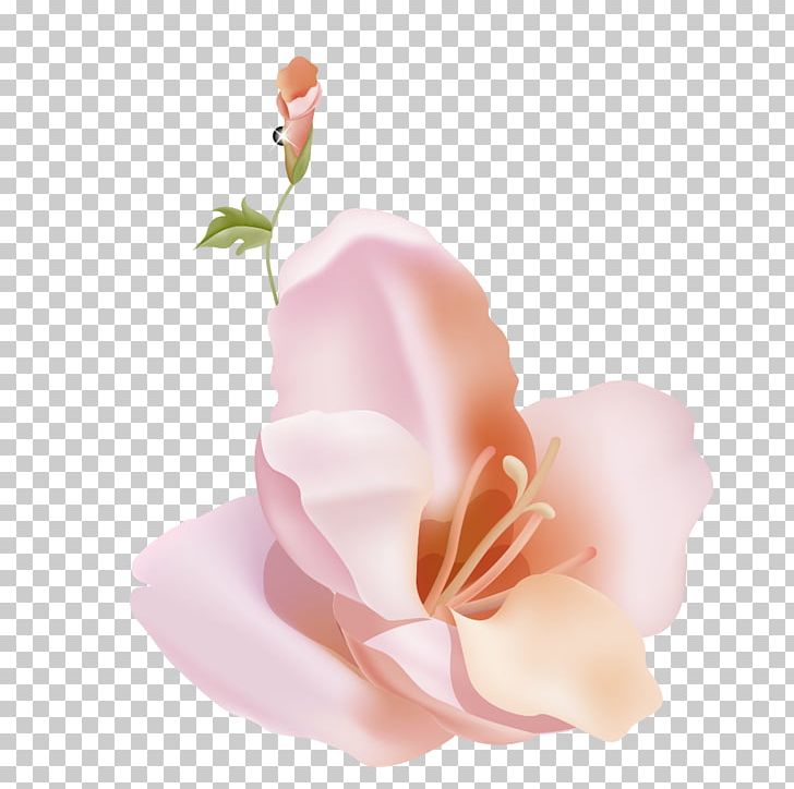 Garden Roses Petal Lilium Flower PNG, Clipart, Computer Icons, Core, Corepng, Cut Flowers, Drawing Free PNG Download