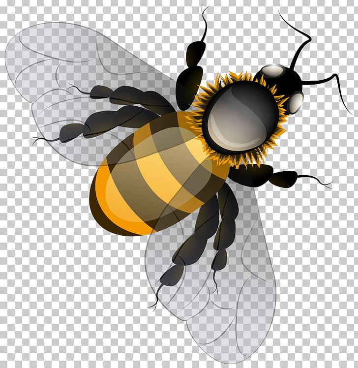 Honey Bee PNG, Clipart, Animals, Arthropod, Bee, Beehive, Bumblebee Free PNG Download