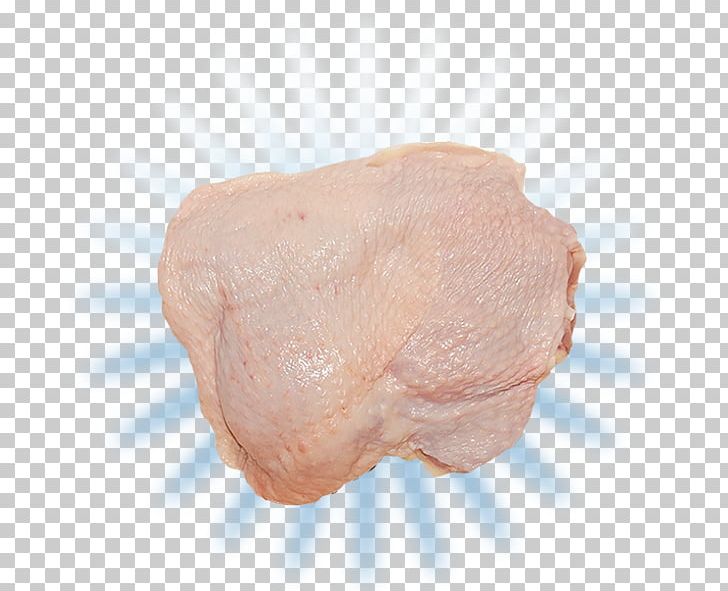 Pig's Ear Back Bacon PNG, Clipart,  Free PNG Download
