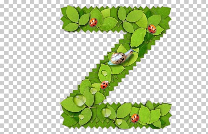 Z English Alphabet Letter PNG, Clipart, Alphabet, Alphabet Letters, Branch, Encapsulated Postscript, English Free PNG Download