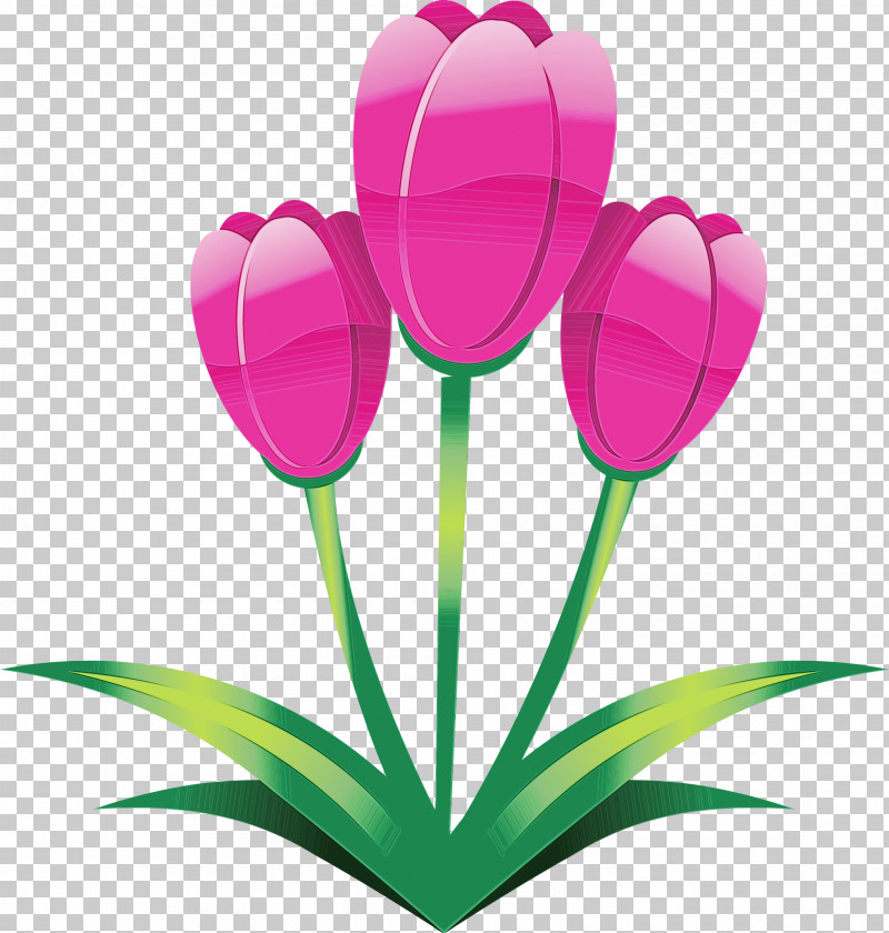 Tulip Flower Petal Pink Plant PNG, Clipart, Crocus, Cut Flowers, Easter Flower, Flower, Grass Free PNG Download