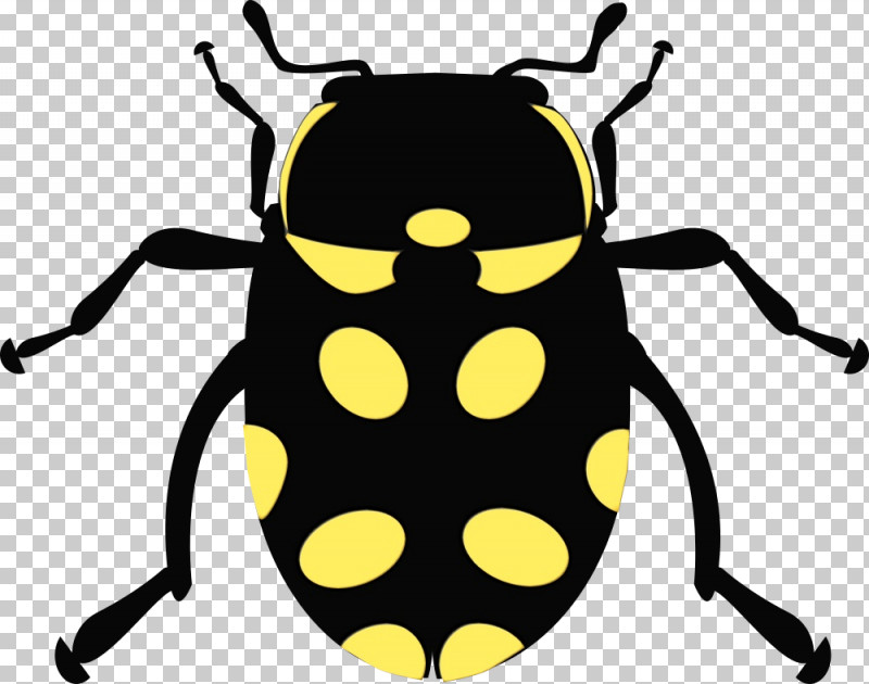 Beetles Ladybird Beetle Cartoon Firefly Insect PNG, Clipart, Beetles, Cartoon, Firefly, Insect, Ladybird Beetle Free PNG Download