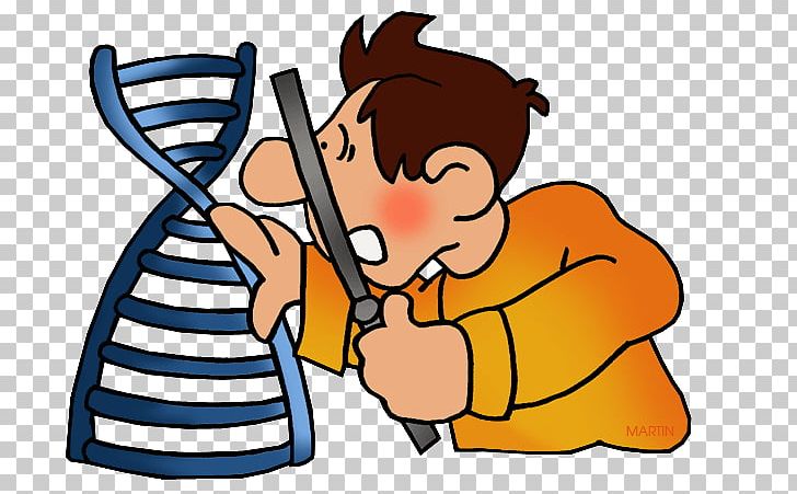 DNA Nucleic Acid Double Helix Gene PNG, Clipart, Arm, Artwork, Biology, Boy, Cartoon Free PNG Download