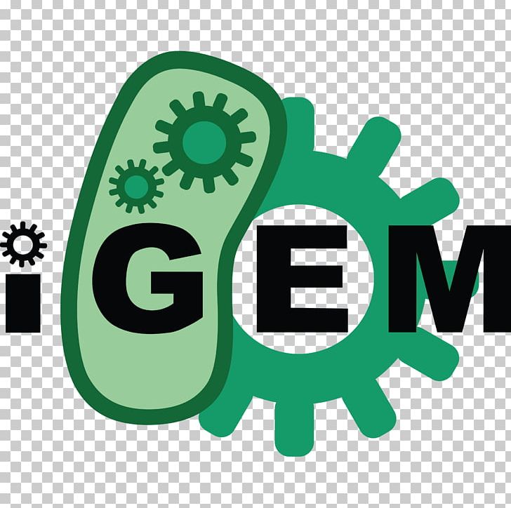 International Genetically Engineered Machine Synthetic Biology Genetic Engineering Registry Of Standard Biological Parts PNG, Clipart, Biology, Cell, Crispr, Education Science, Engineering Free PNG Download