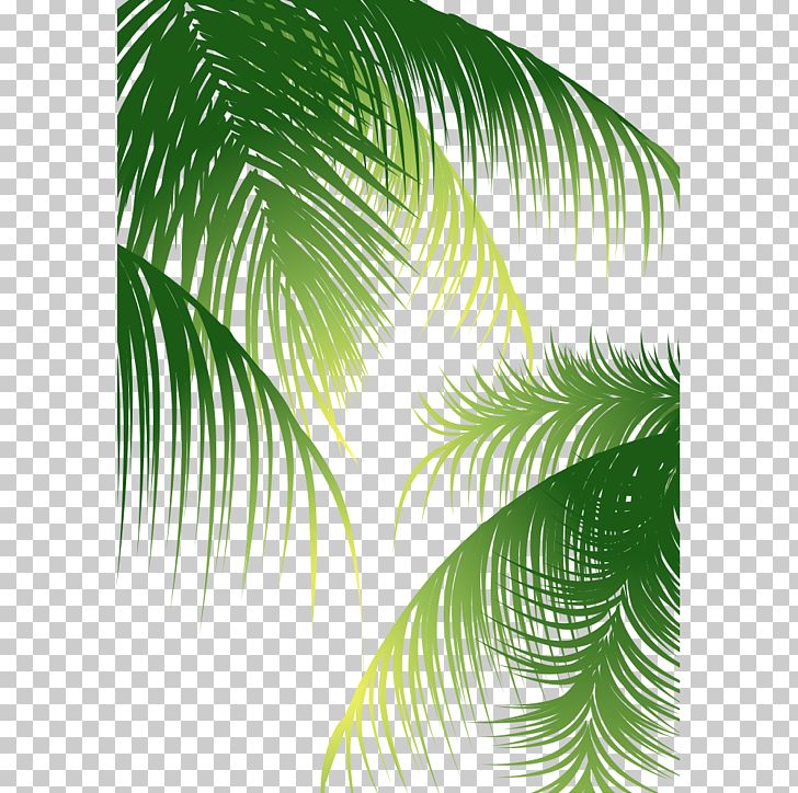 Euclidean Arecaceae Coconut PNG, Clipart, Arecaceae, Arecales, Cartoon, Coconut, Coconut Leaves Free PNG Download