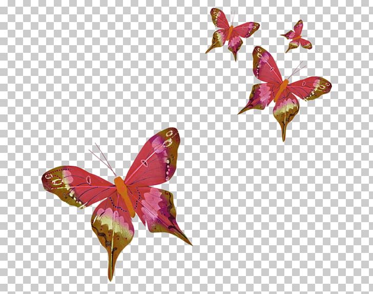 Three-letter Acronym PNG, Clipart, Animation, Arthropod, Blog, Brush Footed Butterfly, Butterfly Free PNG Download