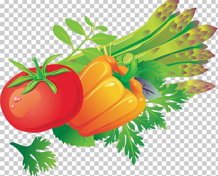 Tomato Vegetable Euclidean PNG, Clipart, Adobe Illustrator, Concepteur, Diet Food, Download, Food Free PNG Download