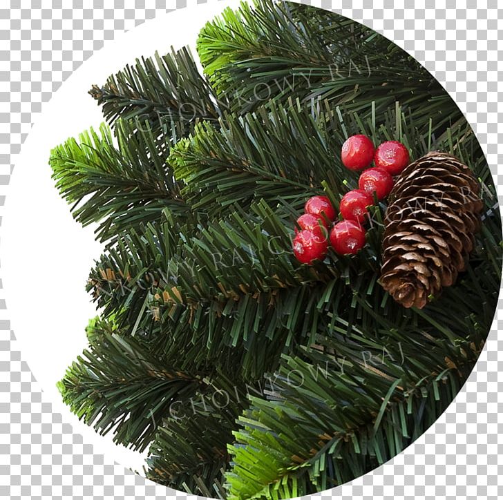 Christmas Ornament PNG, Clipart, Christmas, Christmas Decoration, Christmas Ornament, Conifer, Elaeis Free PNG Download