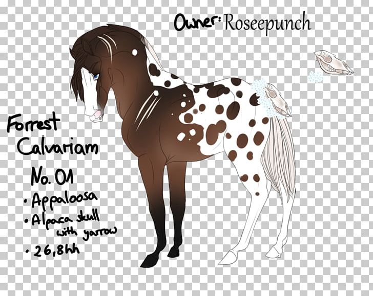 Mustang Stallion Mare Halter Pack Animal PNG, Clipart,  Free PNG Download