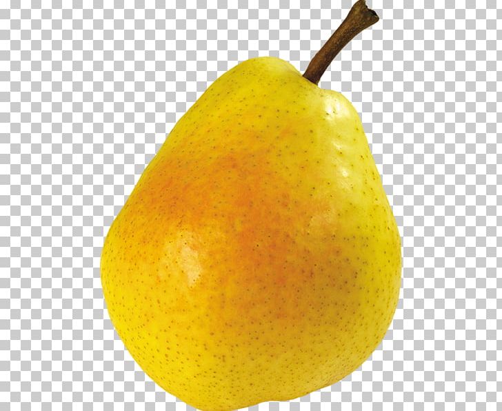 Pear File Formats PNG, Clipart, Apple, Asian Pear, Citrus, Computer Icons, Desktop Wallpaper Free PNG Download