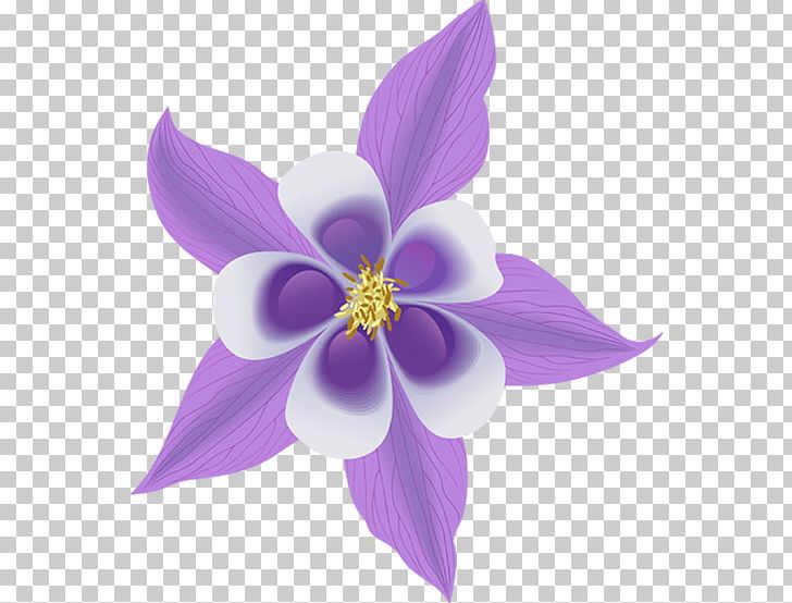 Colorado Blue Columbine Common Columbine PNG, Clipart, Colorado Blue Columbine, Columbine, Drawing, Flower, Flowering Plant Free PNG Download