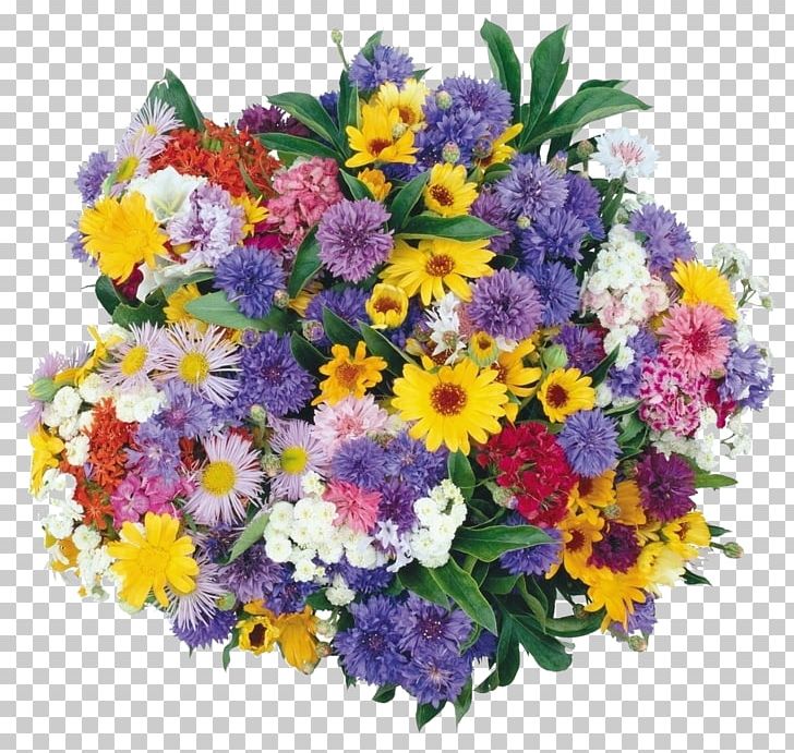 Flower Bouquet YouTube Animation PNG, Clipart, Annual Plant, Artificial Flower, Aster, Blog, Bouquet Free PNG Download