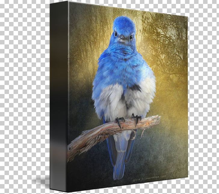 Painting Macaw Gallery Wrap Mountain Bluebird Canvas PNG, Clipart, Art, Beak, Bird, Bluebird, Bluebirds Free PNG Download