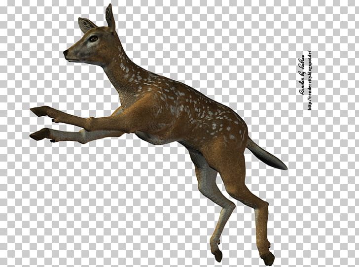 Roe Deer Stock Photography PNG, Clipart, 3d Computer Graphics, Animal Figure, Animals, Deer, Depositphotos Free PNG Download