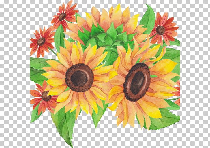 Common Sunflower Flower Bouquet Cut Flowers Floral Design PNG, Clipart, Annual Plant, Com, Common Sunflower, Cut Flowers, Daisy Family Free PNG Download