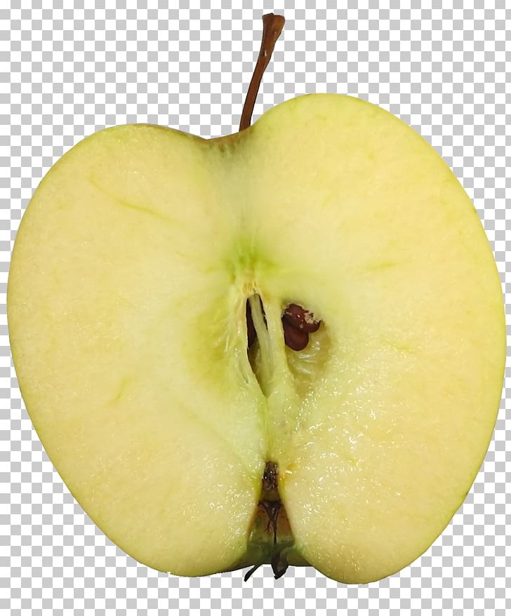 Granny Smith Apple Fruit Food PNG, Clipart, Apple, Apple Fruit, Apple Logo, Apple Tree, Cut Free PNG Download