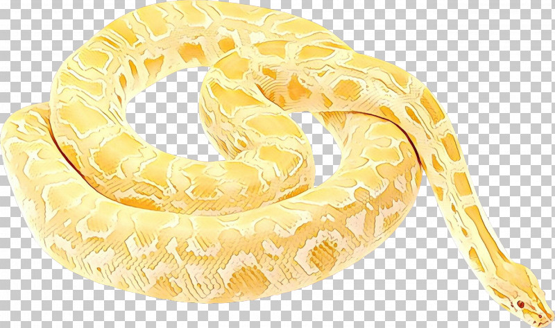 Python Python Family Burmese Python Yellow Snake PNG, Clipart, Boa, Burmese Python, Corn Snake, Python, Python Family Free PNG Download