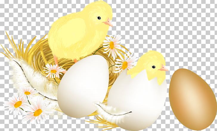 Easter Bunny Chicken Easter Egg PNG, Clipart, Beak, Chicken, Easter, Easter Bunny, Easter Egg Free PNG Download