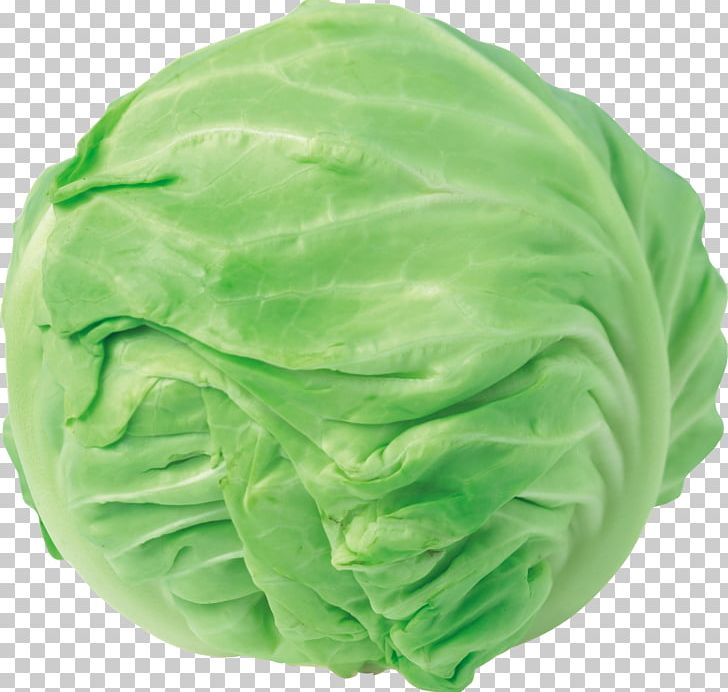 Red Cabbage Cauliflower Chinese Cabbage PNG, Clipart, Brassica, Broccoli, Cabbage, Cauliflower, Chinese Cabbage Free PNG Download