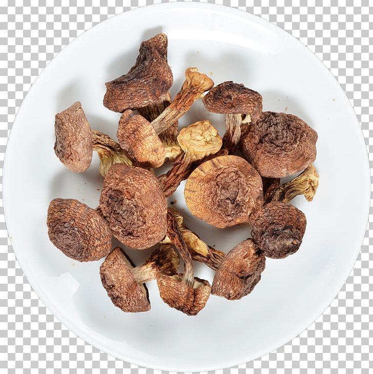 Dietary Supplement Agaricus Subrufescens Mushroom Medicinal Fungi PNG, Clipart, Agaric, Agaricus, Agaricus Subrufescens, Almond, Dietary Supplement Free PNG Download