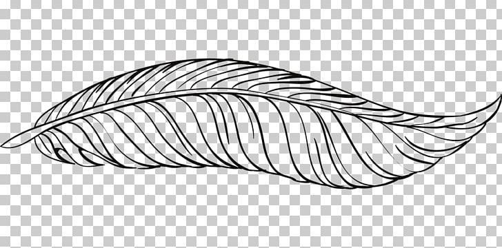 Feather PNG, Clipart, Angle, Animals, Area, Black, Black And White Free PNG Download