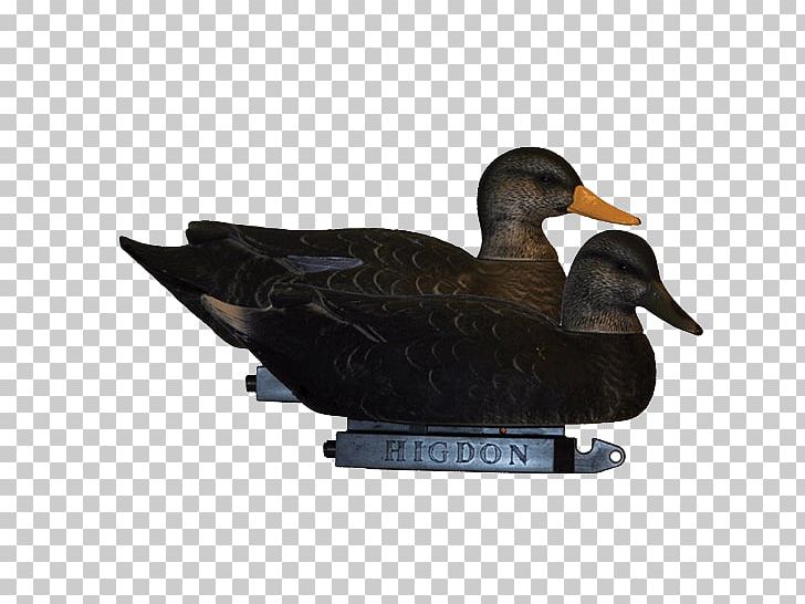 Mallard Duck Decoy Super Magnum Goose PNG, Clipart, American Black Duck, Animals, Beak, Bird, Cartuccia Magnum Free PNG Download