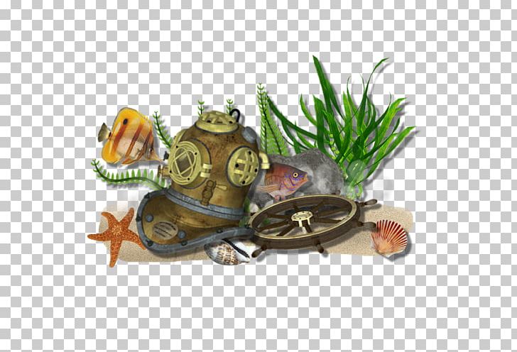 Seabed PNG, Clipart, Albom, Amphibian, Blog, Computer, Computer Icons Free PNG Download