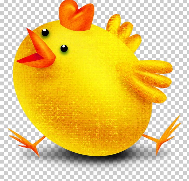 Welsummer Kifaranga Chicken As Food Orange PNG, Clipart, Beak, Bird, Chicken, Chicken As Food, Egg Free PNG Download