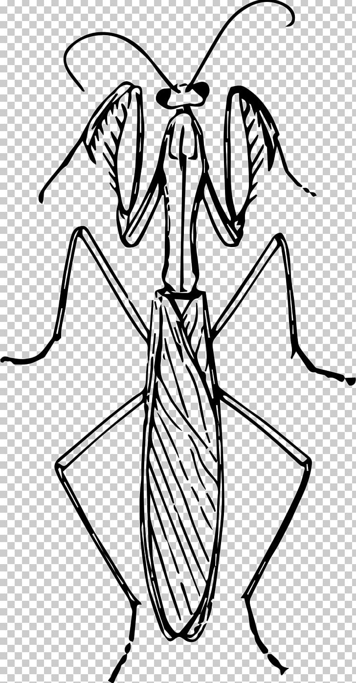Mantis Insect Praying Hands Drawing PNG, Clipart, Angle, Animal, Animals, Artwork, Black And White Free PNG Download