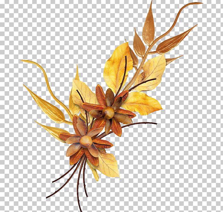 Autumn PNG, Clipart, Autumn, Branch, Data Compression, Digital Image, Download Free PNG Download