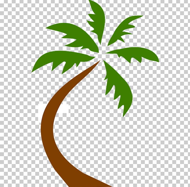 Palm Trees Coconut PNG, Clipart, Beach, Branch, Coconut, Coconut Tree, Date Palm Free PNG Download