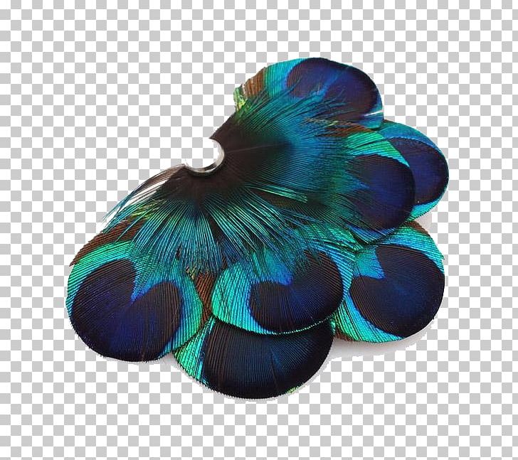 Feather Peafowl Designer PNG, Clipart, Blue, Ceiling Fan, Chinese Fan, Concepteur, Designer Free PNG Download