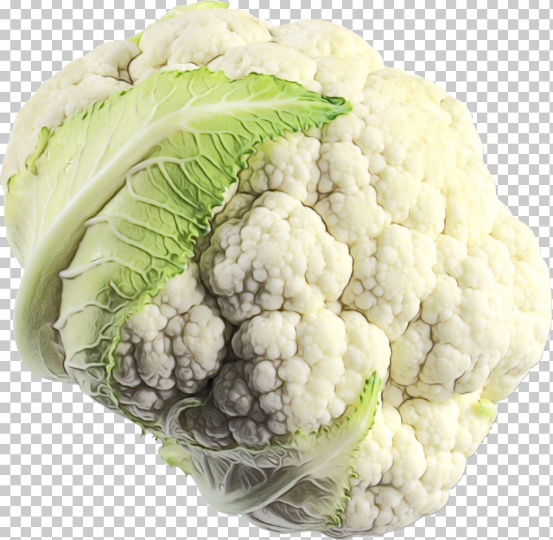 Cauliflower PNG, Clipart, Broccoli, Cabbage, Cauliflower, Ingredient, Leaf Vegetable Free PNG Download