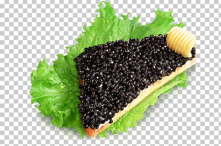 Beluga Caviar Butterbrot Pancake Starry Sturgeon PNG, Clipart, Beluga Caviar, Black Caviar, Butterbrot, Caviar, Cooking Free PNG Download