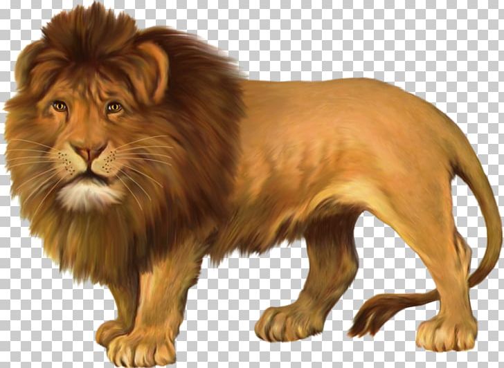 East African Lion PNG, Clipart, Big Cats, Blog, Carnivoran, Cat Like Mammal, Download Free PNG Download