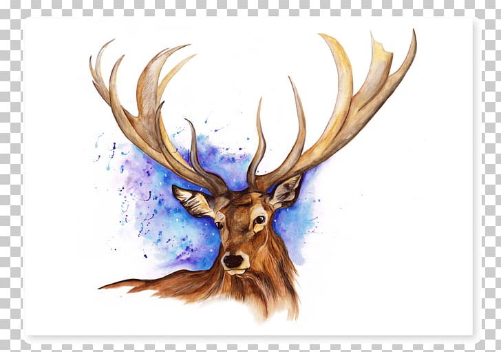 Elk Reindeer Antler Watercolor Painting PNG, Clipart, Animal, Animals, Annie, Antler, Art Free PNG Download