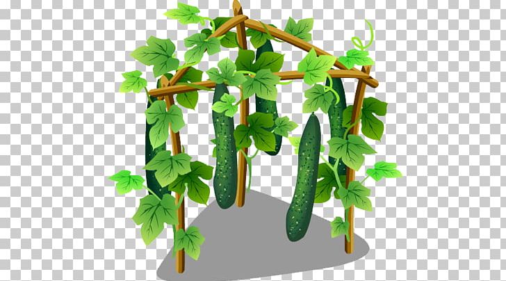 Cucumber Food Vegetable PNG, Clipart, Armenian Cucumber, Branch, Cartoon, Creative, Cucu Free PNG Download
