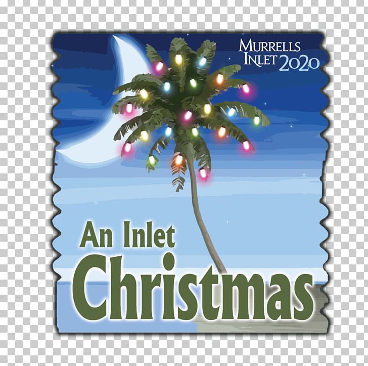 Christmas Tree PNG, Clipart, Christmas, Christmas Ornament, Christmas Tree, Holidays, Tree Free PNG Download