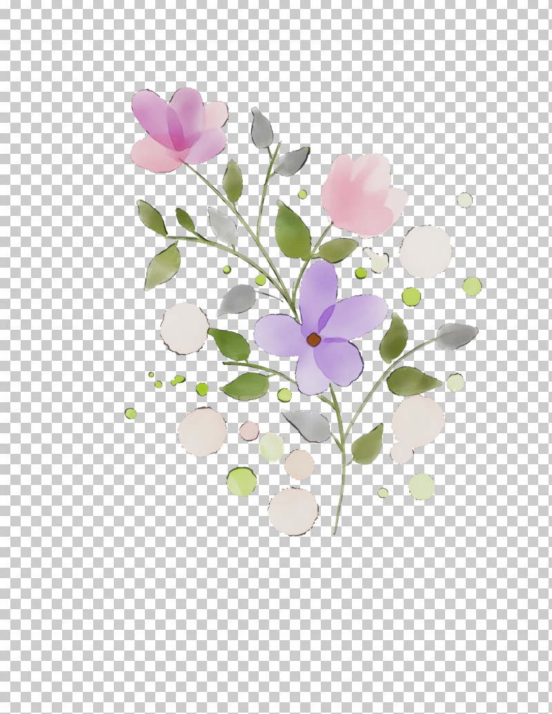 Flower Petal Plant Violet Branch PNG, Clipart, Blossom, Branch, Flower, Flowers, Moth Orchid Free PNG Download