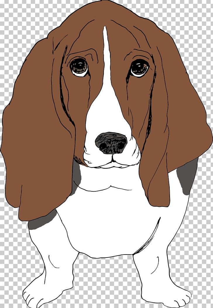 Beagle Harrier Basset Hound Puppy Dog Breed PNG, Clipart,  Free PNG Download