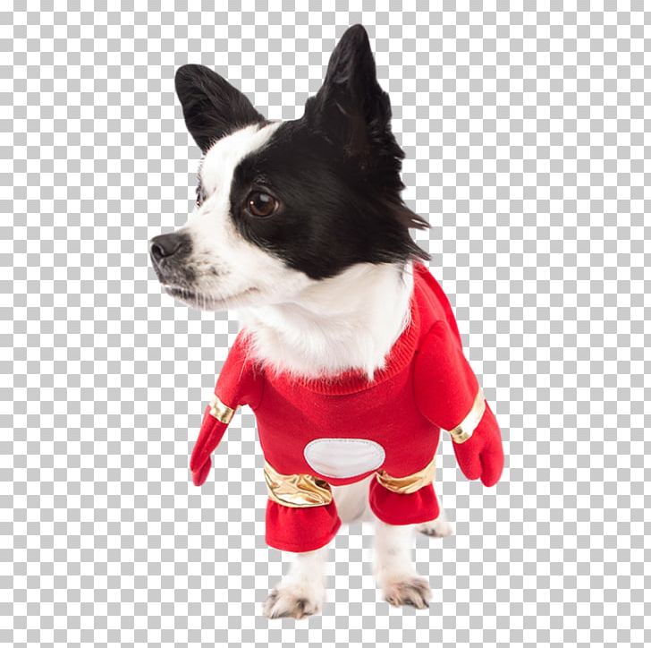 Dog Breed Chihuahua Iron Man Puppy Costume PNG, Clipart, Breed, Captain America, Carnivoran, Chihuahua, Christmas Ornament Free PNG Download
