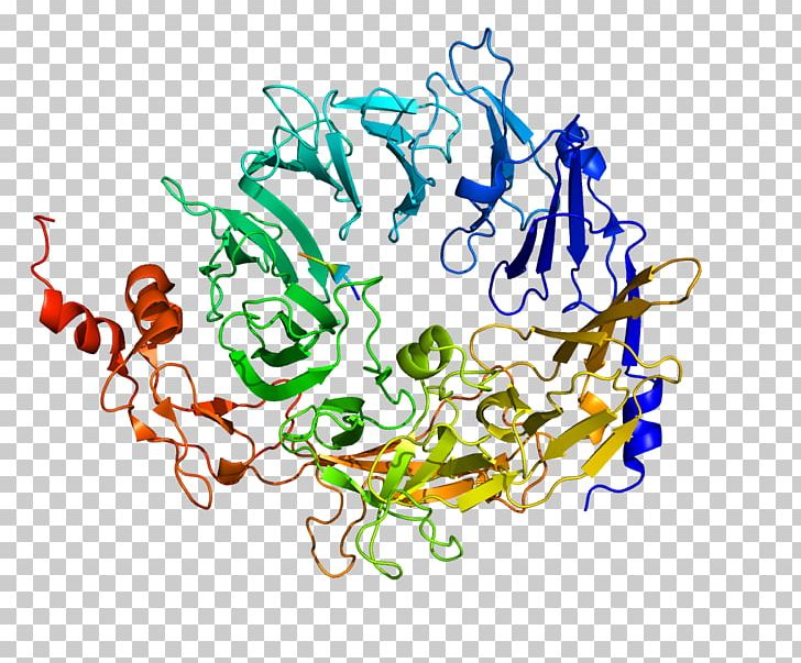 Sortilin 1 PCSK9 Protein Structure Gene Neurotensin Receptor PNG, Clipart, 6 K, Alirocumab, Apolipoprotein, Art, Artwork Free PNG Download