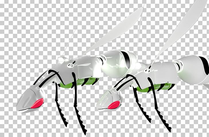 Insect Decapoda PNG, Clipart, Animals, Decapoda, Insect, Invertebrate, Membrane Winged Insect Free PNG Download